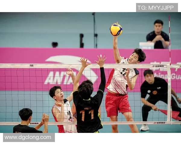 数据分析:重庆排球队的速度表现 数据分析:重庆排球队的速度表现