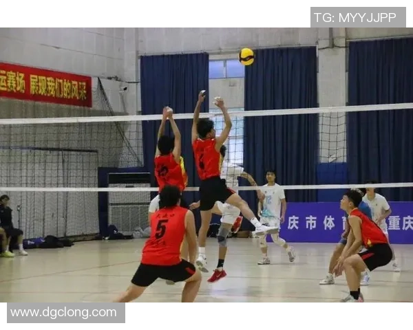 排球热议：重庆排球队的团队协作争议