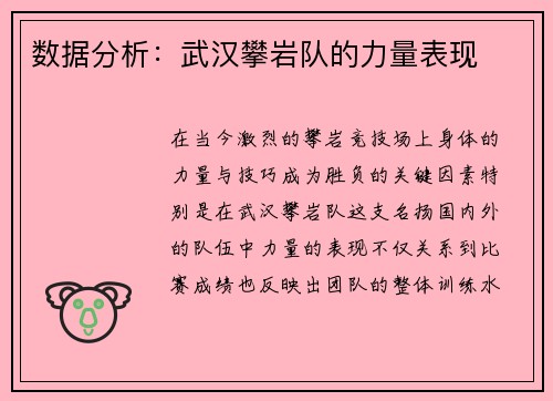 数据分析：武汉攀岩队的力量表现