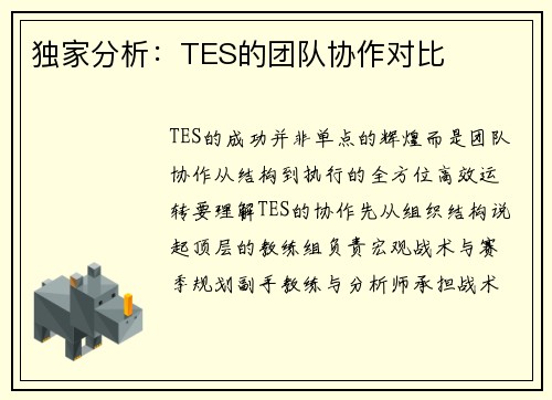 独家分析：TES的团队协作对比