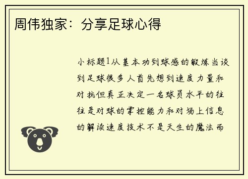 周伟独家：分享足球心得